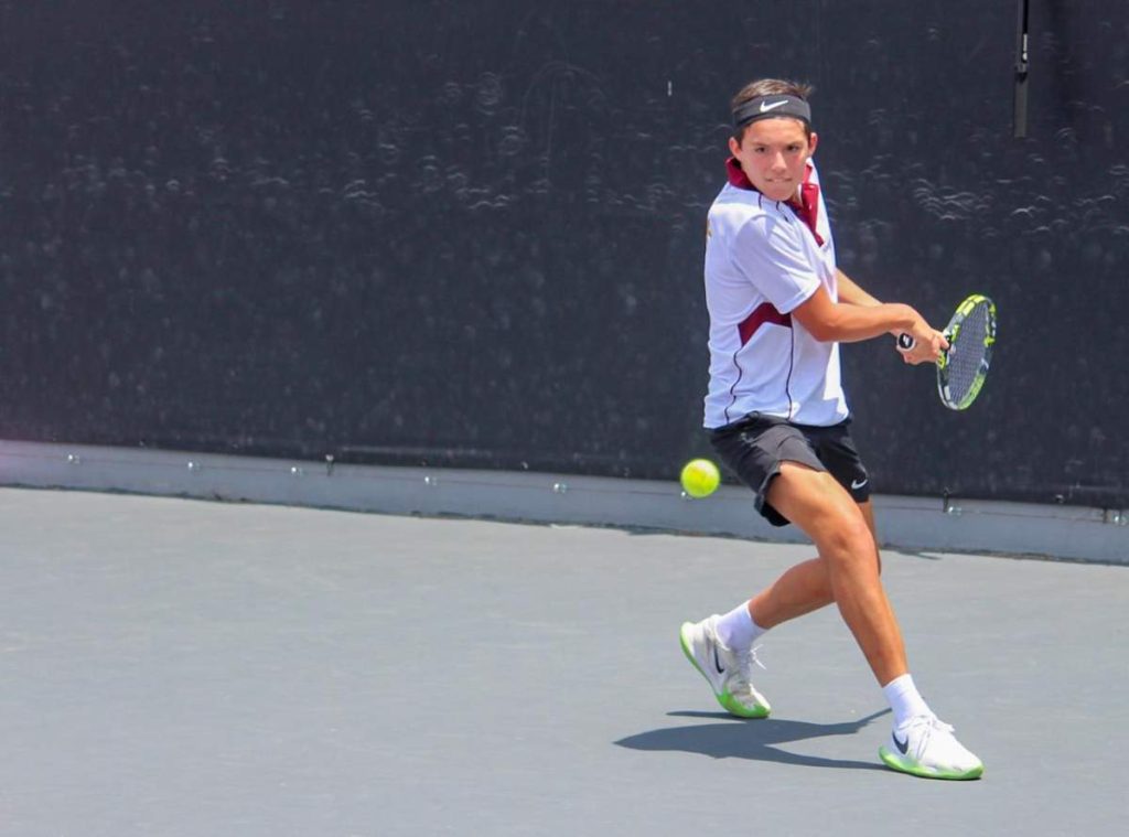 Tenis