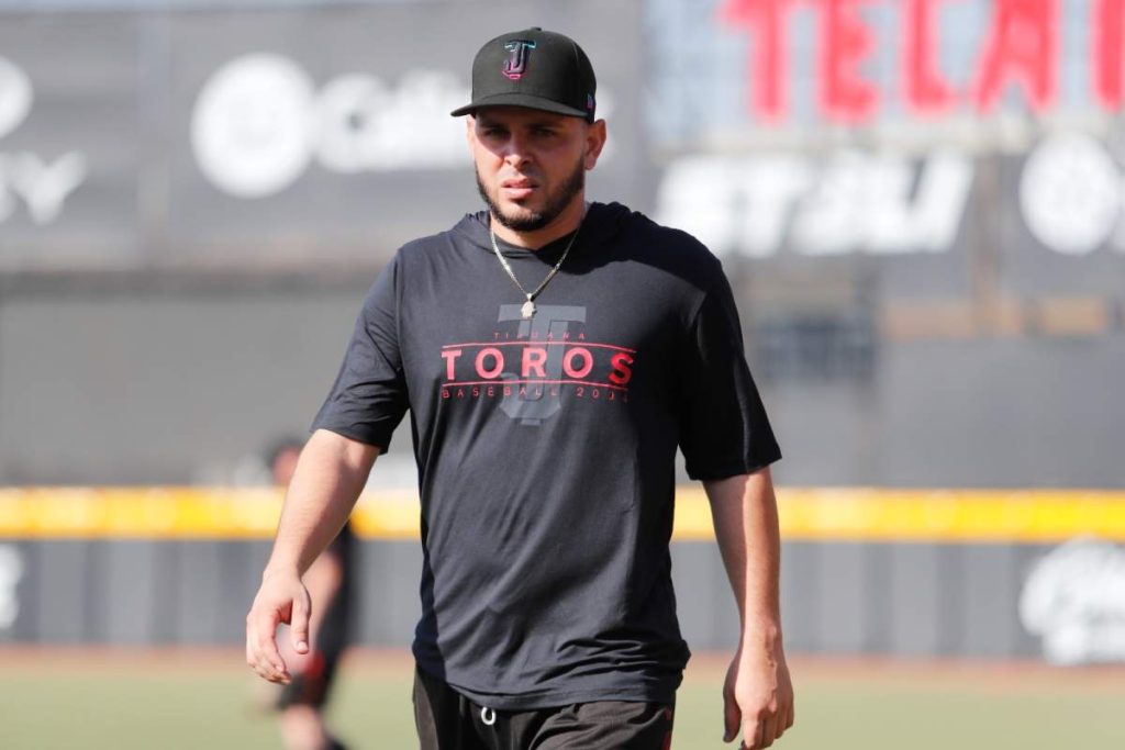 Toros