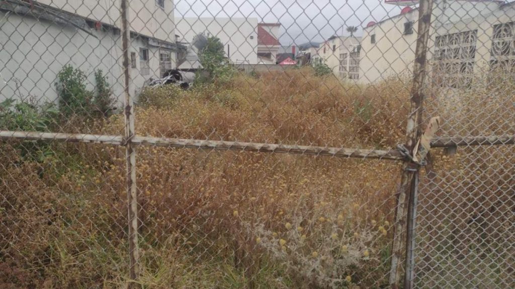 WhatsApp Image 2024-06-27 at 2.37.33 PM