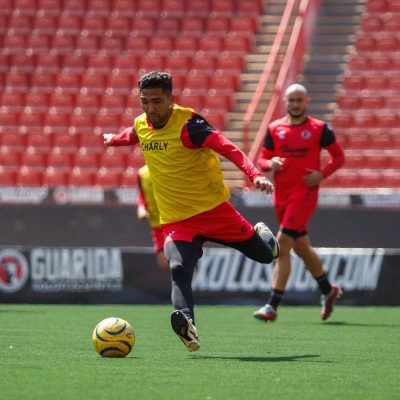 Xolos