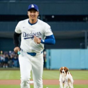 455931160_496979059711722_7234852964333898643_n