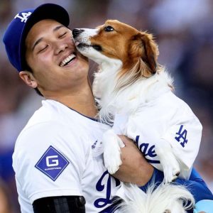 456918499_7895746210547716_3848940918002428566_n