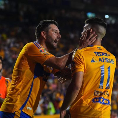 Tigres