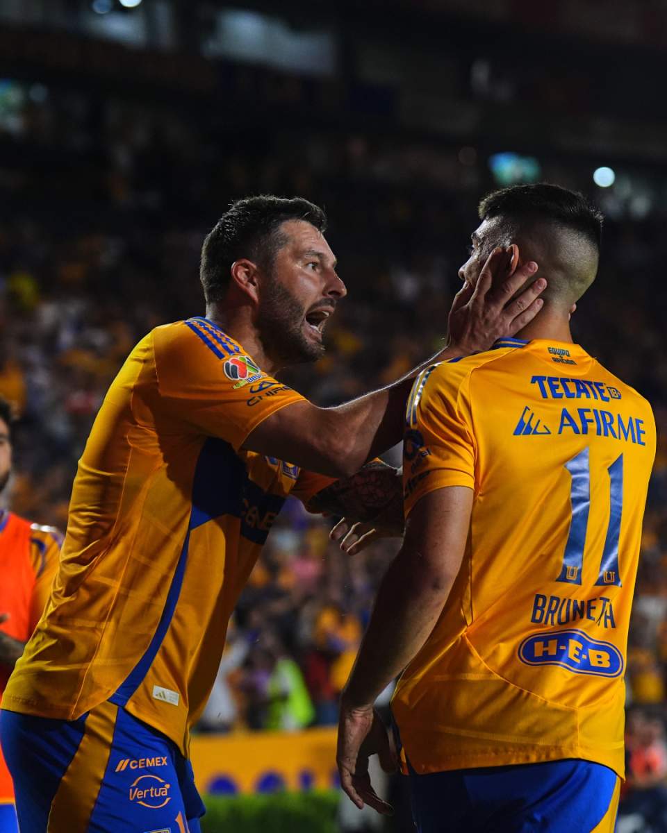 Tigres