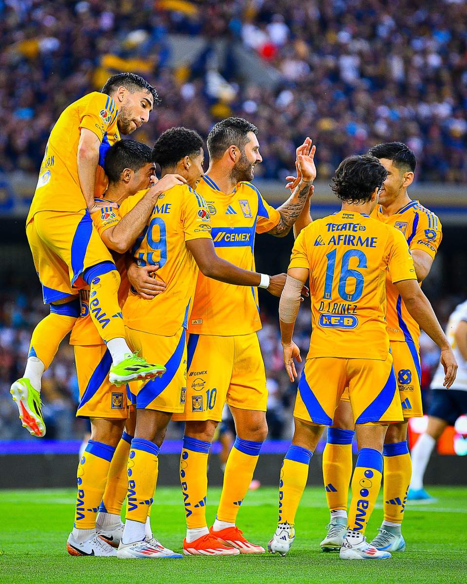 tigres