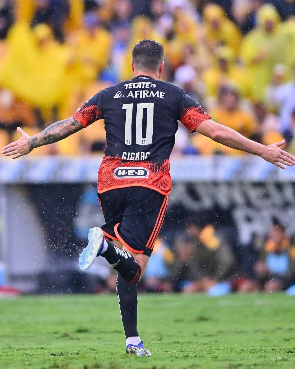 Tigres