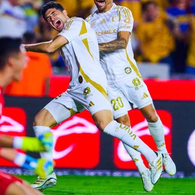 Tigres