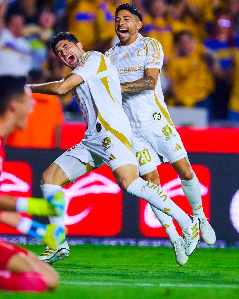 Tigres
