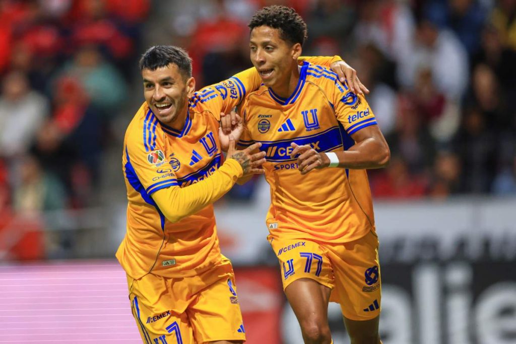 Tigres1