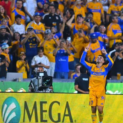 Tigres