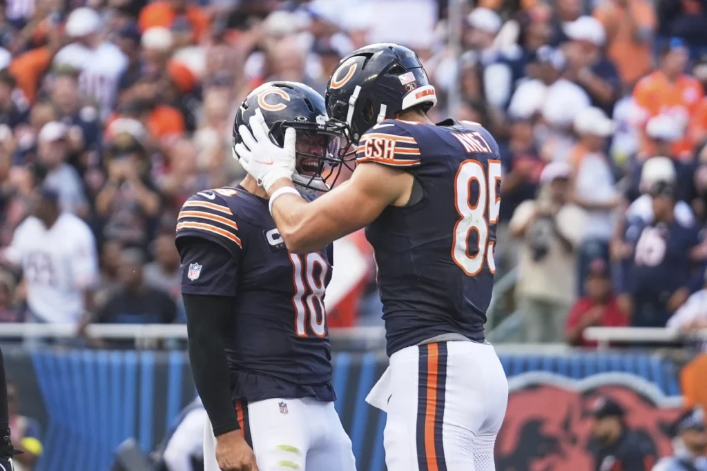Bears