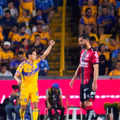 Tigres