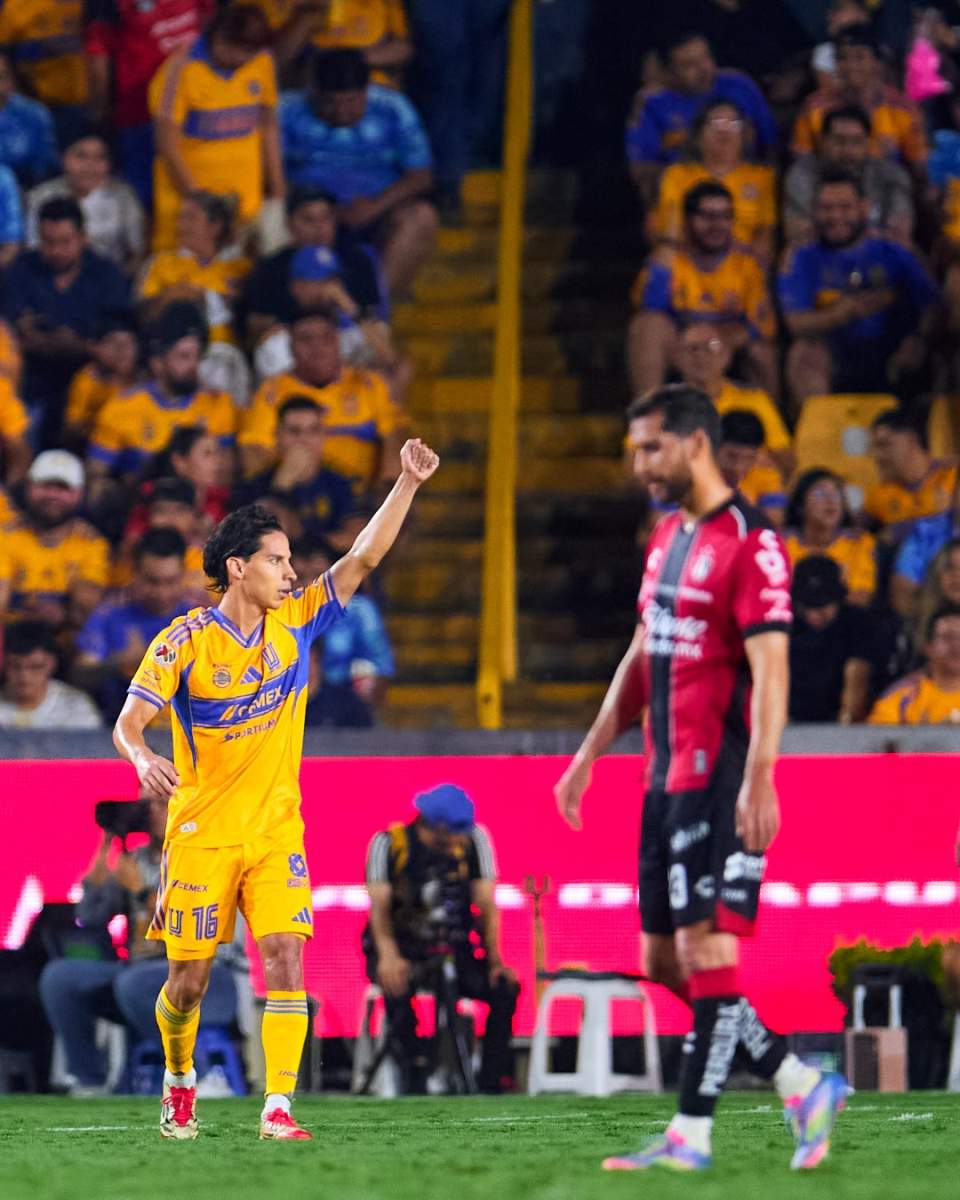 Tigres