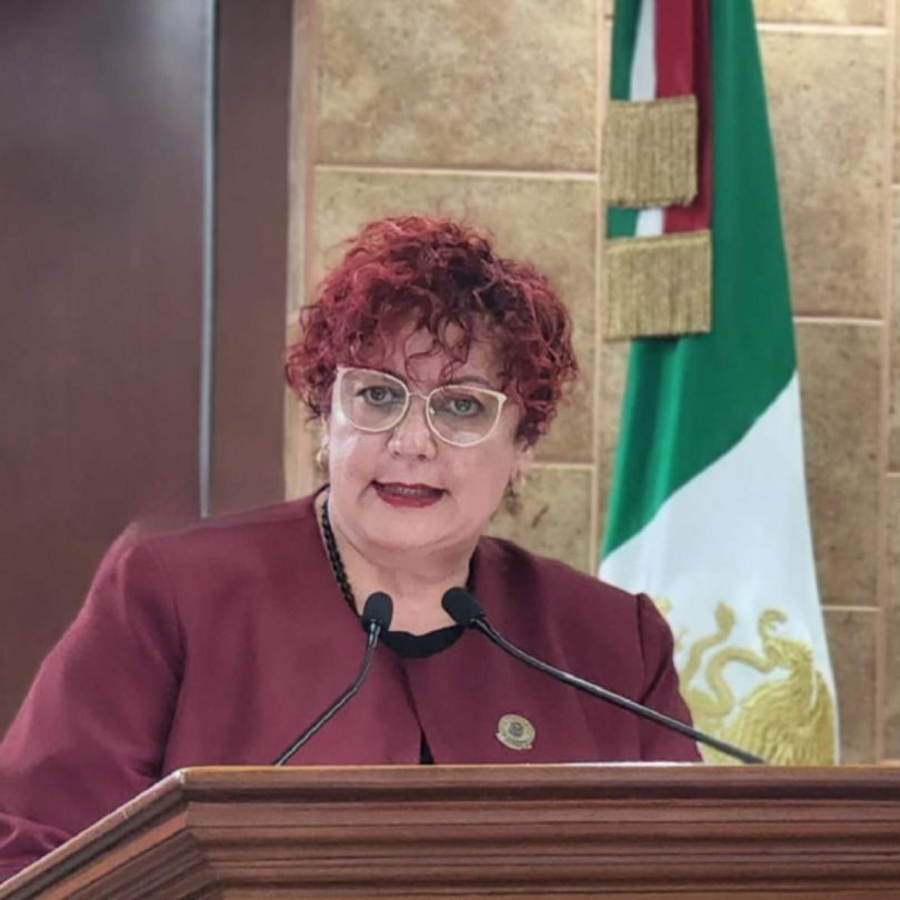 Diputada Maythé Méndez