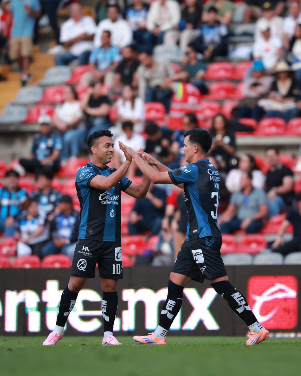 Gallos