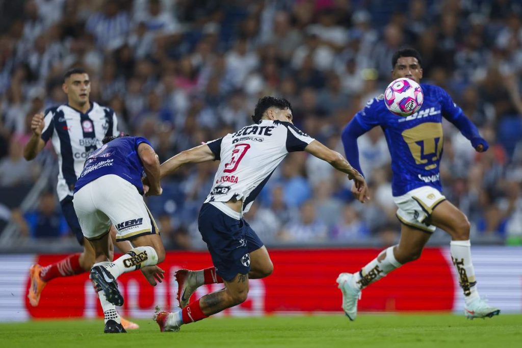 Pumas
