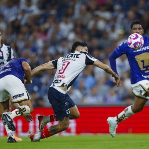 Pumas