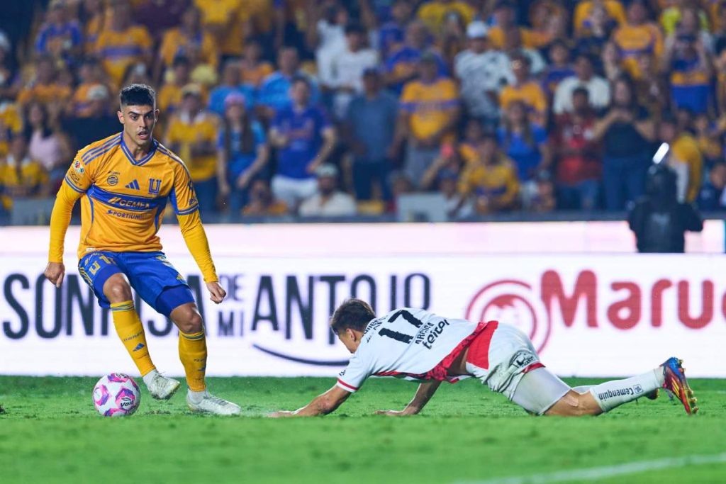 Tigres