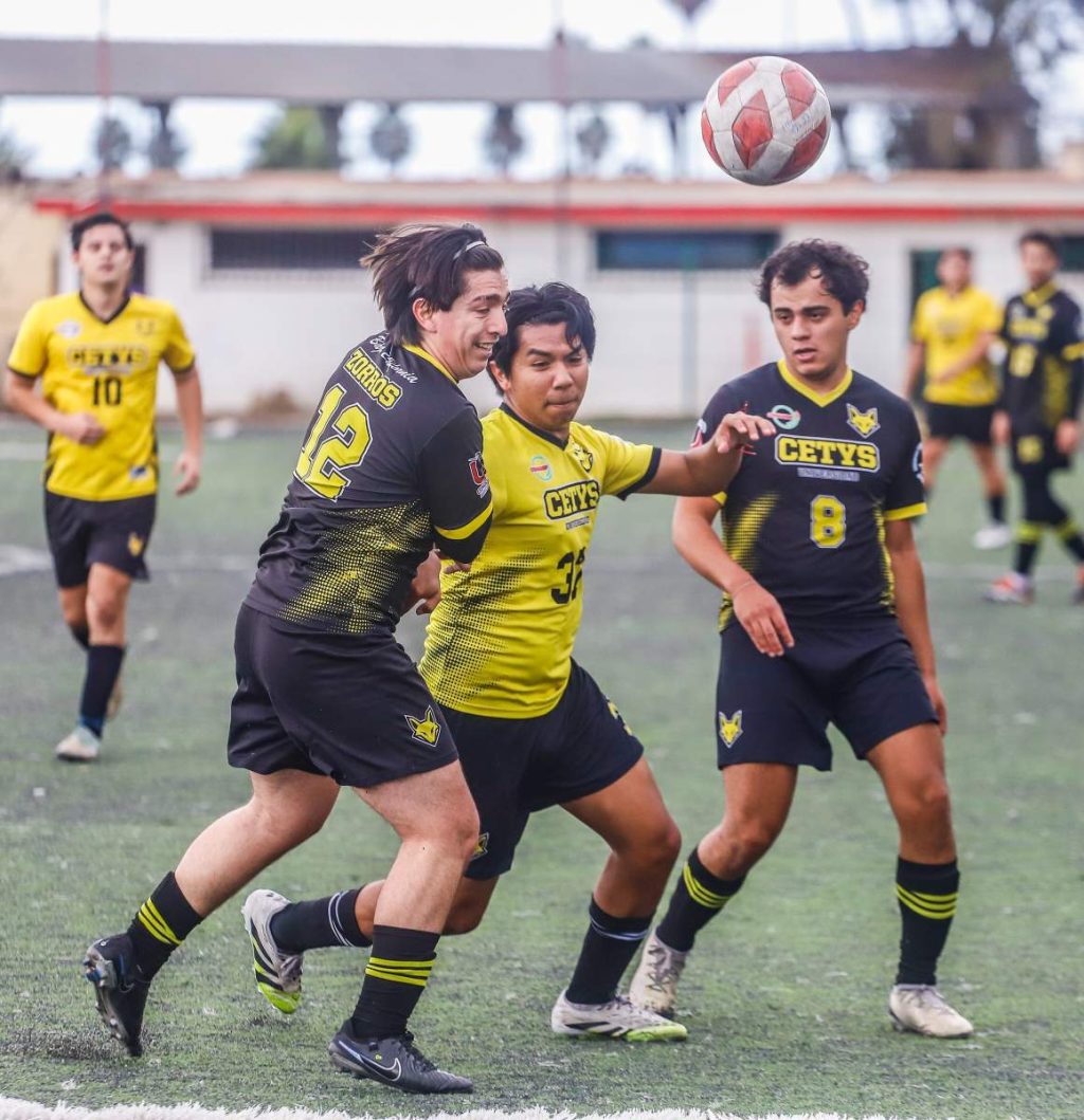 3A604B90-DC49-4C12-9315-CEED89DC500C