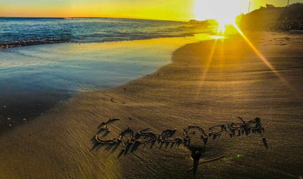 DE283E7A-1DF8-4CCD-9B56-9F3F3AC2A0DF