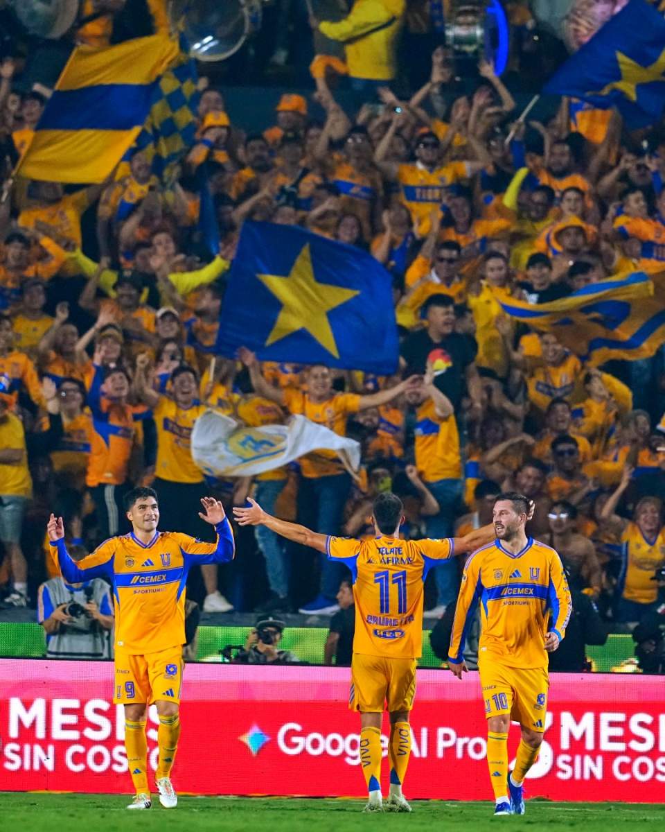 TIGRES XOLOS1