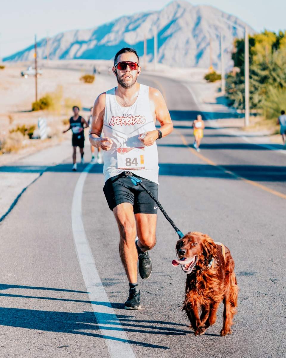 35384642-805b-4752-9453-fb78b9f18fc3~1