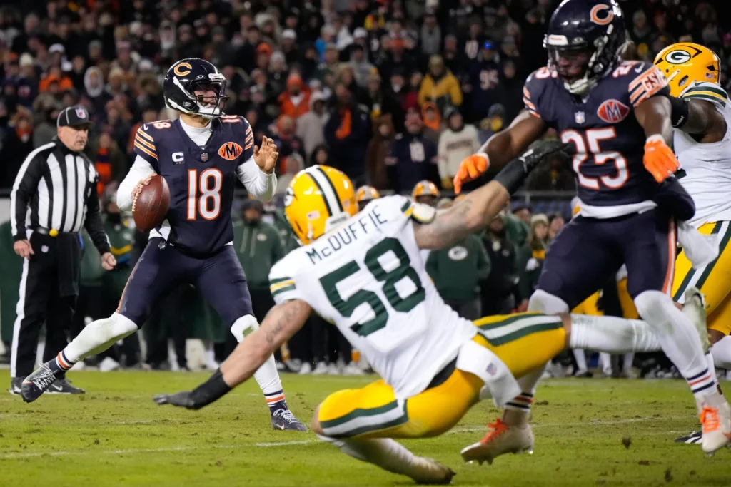 Bears