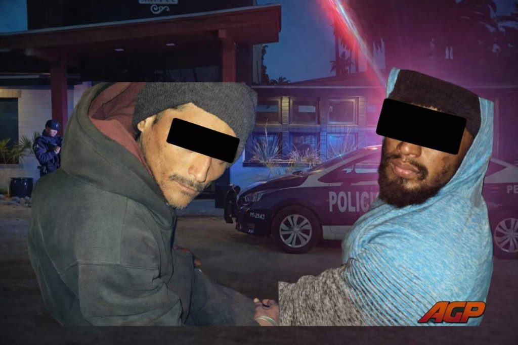 ChatGPT Image 12 feb 2026, 12_22_30 p.m.