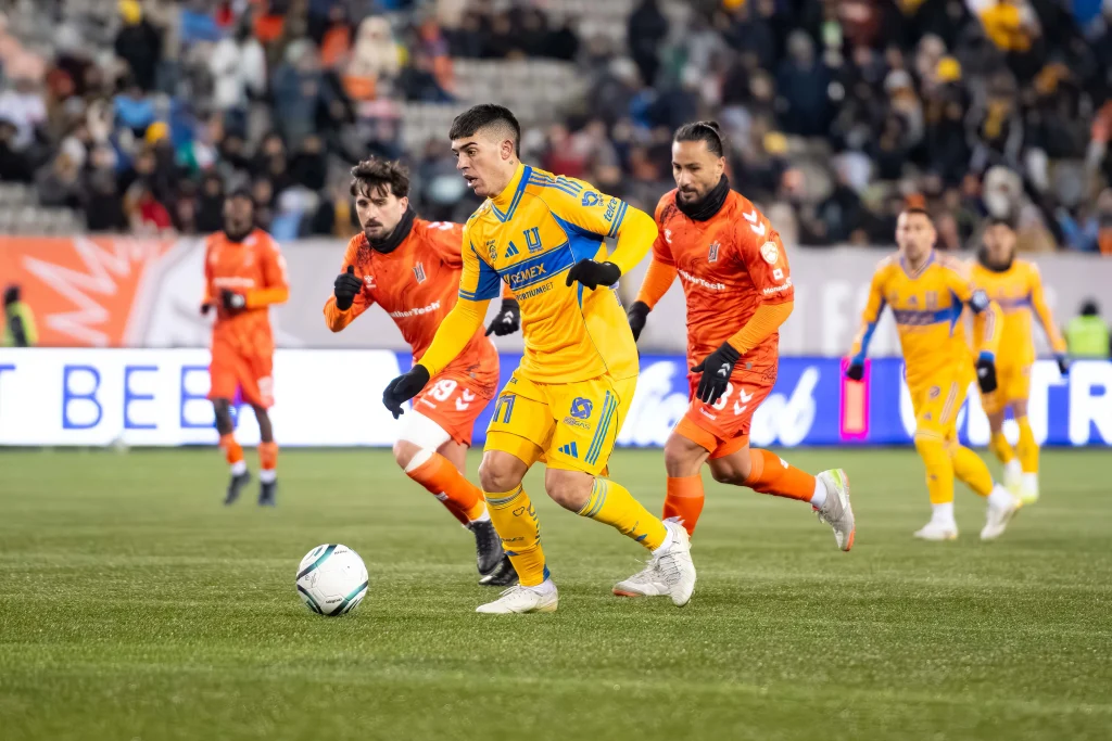 Tigres