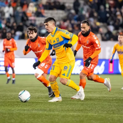 Tigres