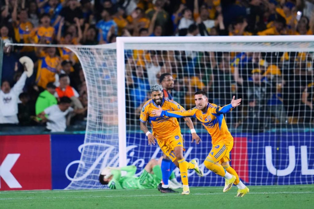 Tigres