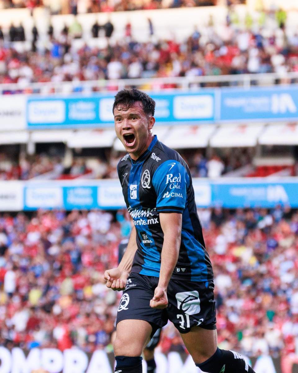 Gallos