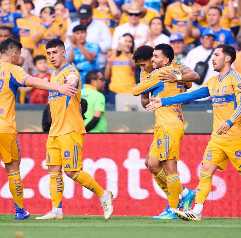 Tigres
