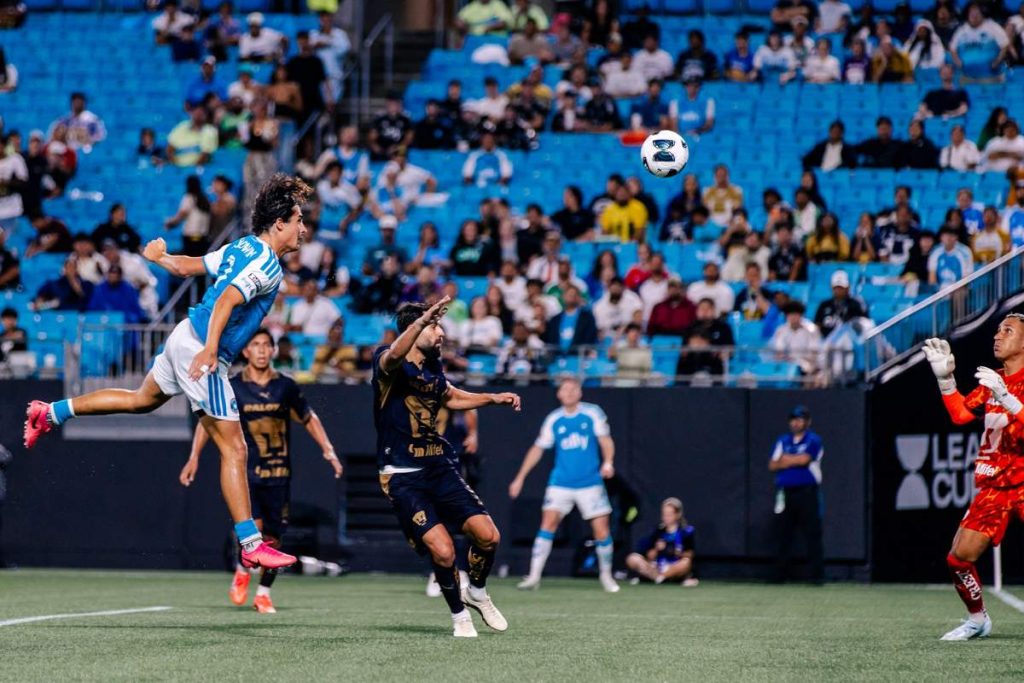 Pumas