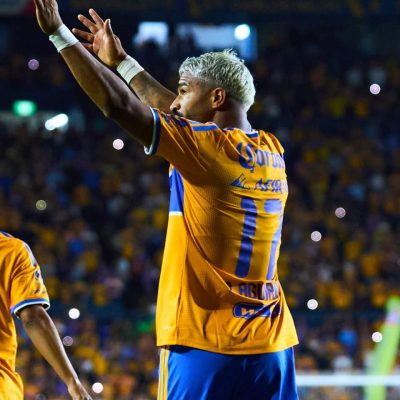 Tigres