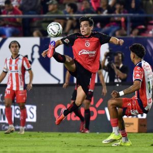 Xolos