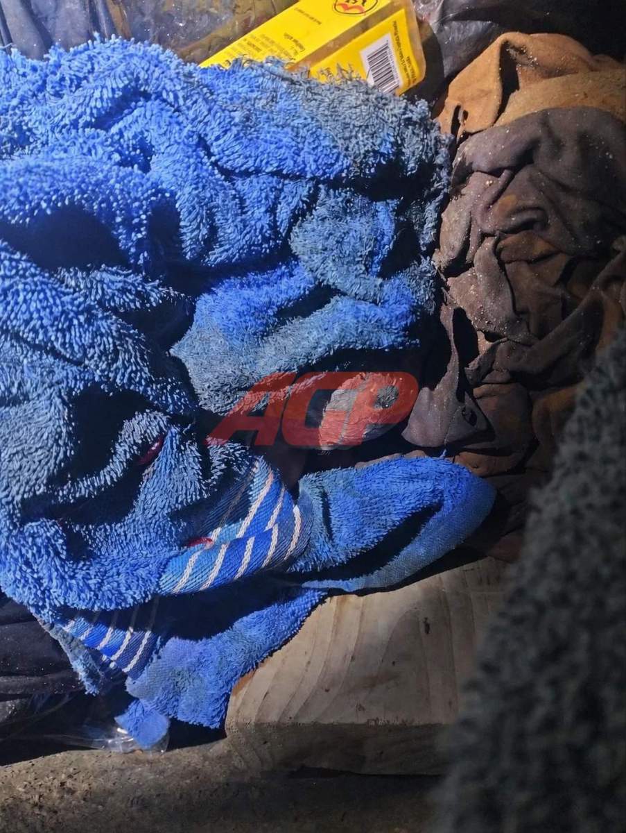 bebe abandonado