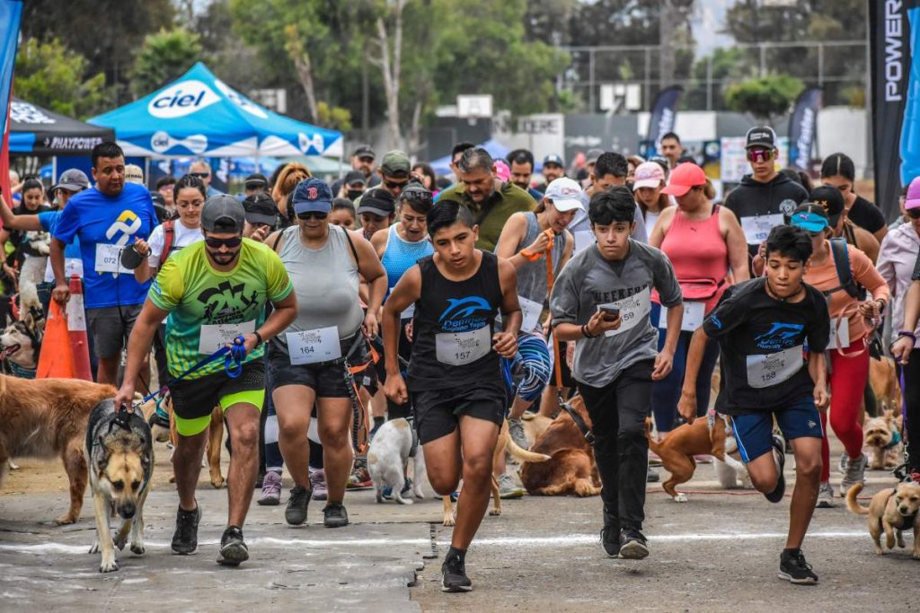 carrera atletica del PAN Ensenada