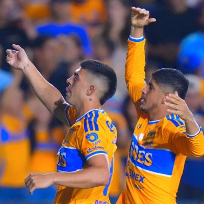 Tigres