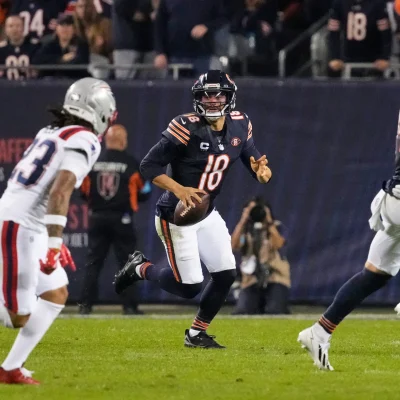 Bears