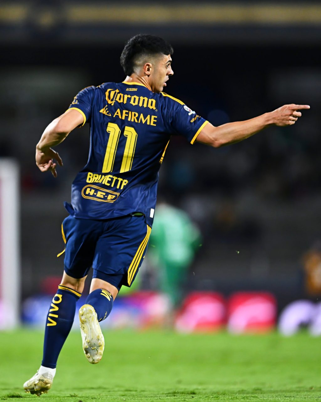 Tigres