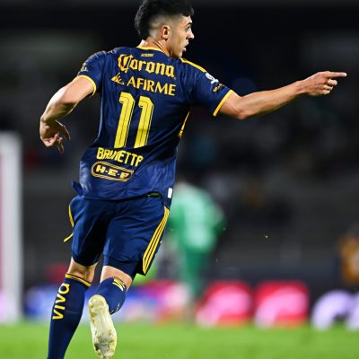 Tigres